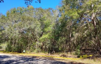 View from Guava Pass Radial