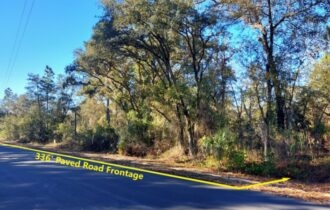 View of the lot from the road.